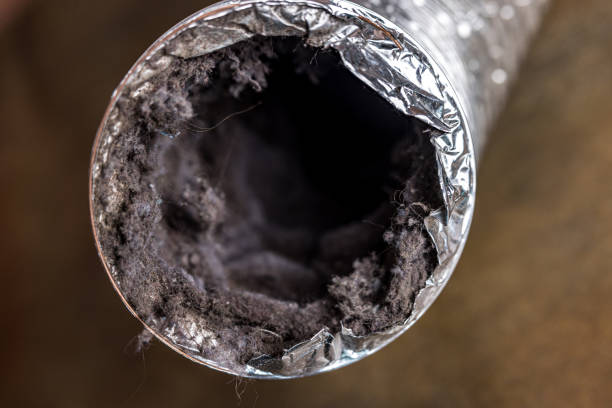 Best Air Duct Cleaning Near Me  in Mapleton, ND