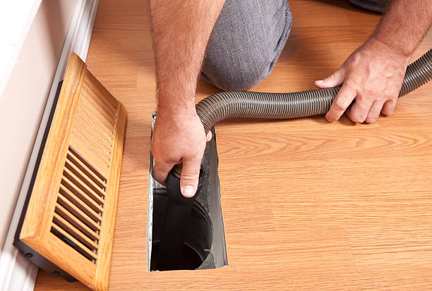 Best Local Air Duct Cleaning Services  in Mapleton, ND