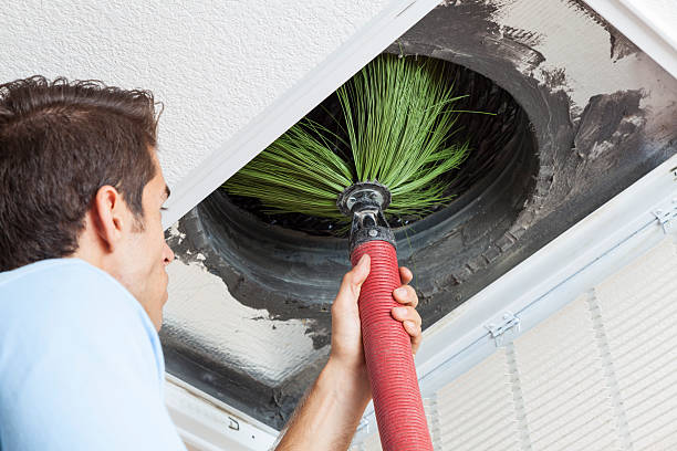 Best Air Duct Cleaning Near Me  in Mapleton, ND